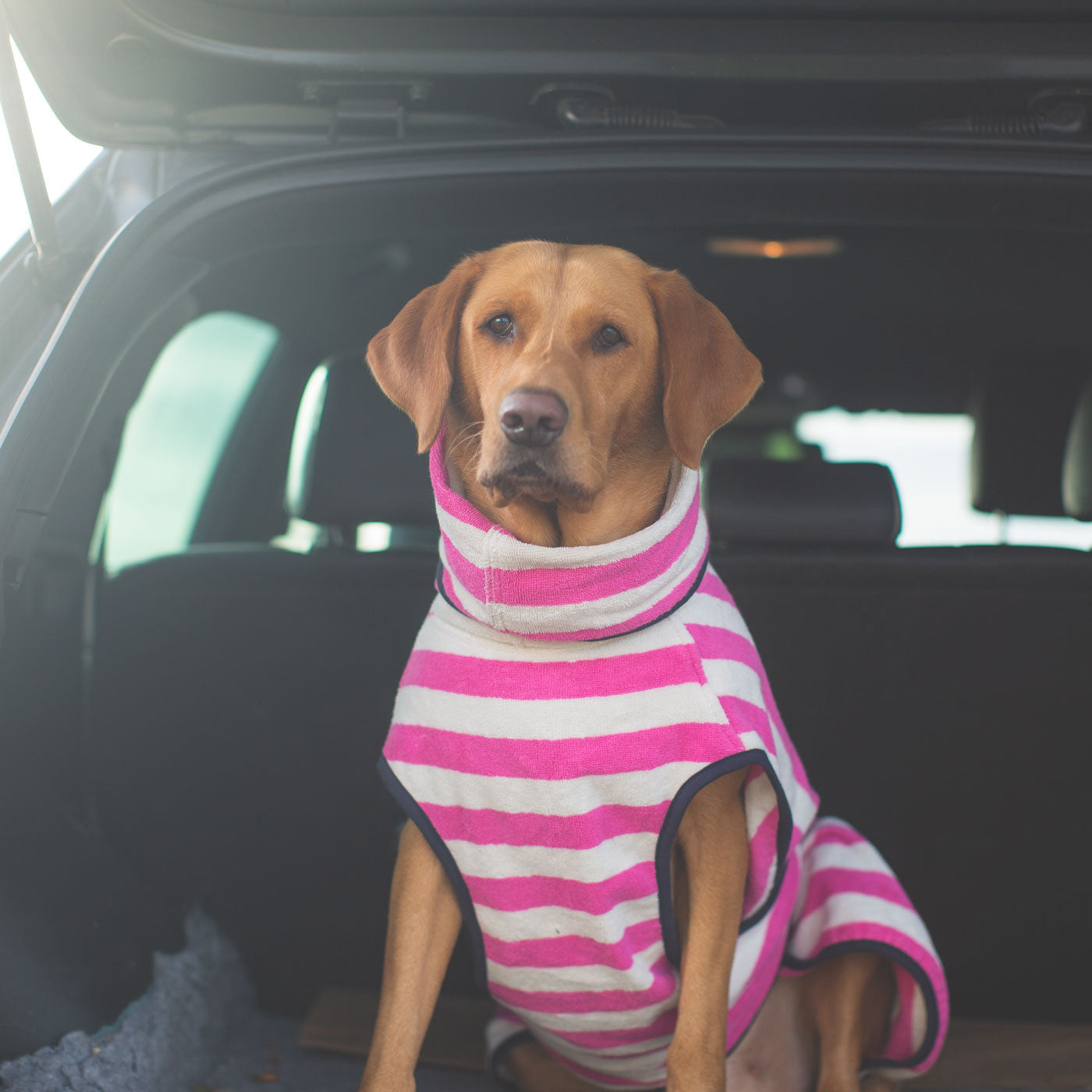 Harbour Hounds Pink Stripe Drying Coat