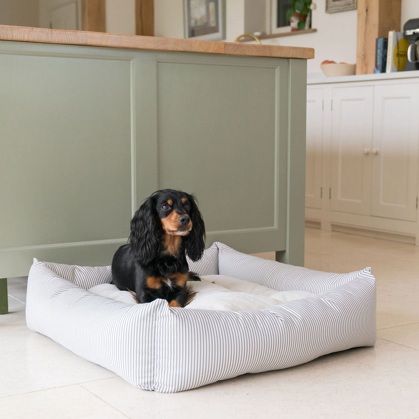 Box Bed With Removable Covers in Regency Stripe by Lords & Labradors