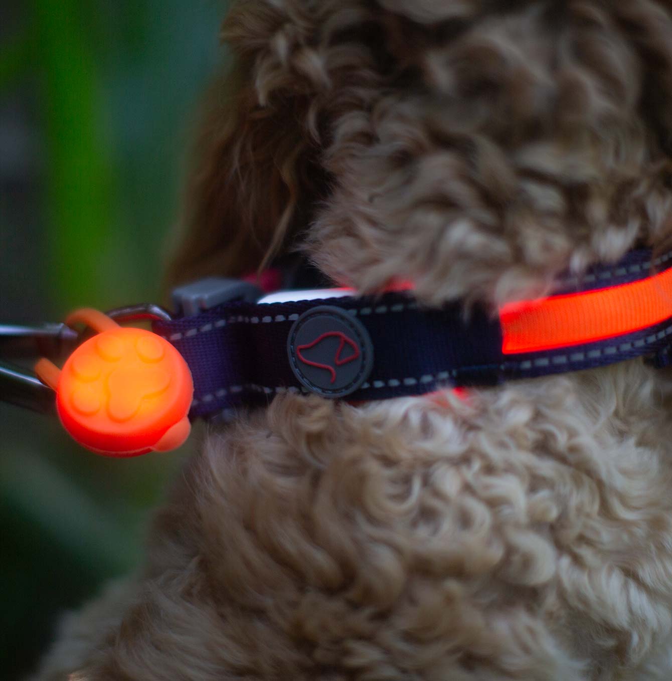 Zoon Flash & Go LED Vis-Tag