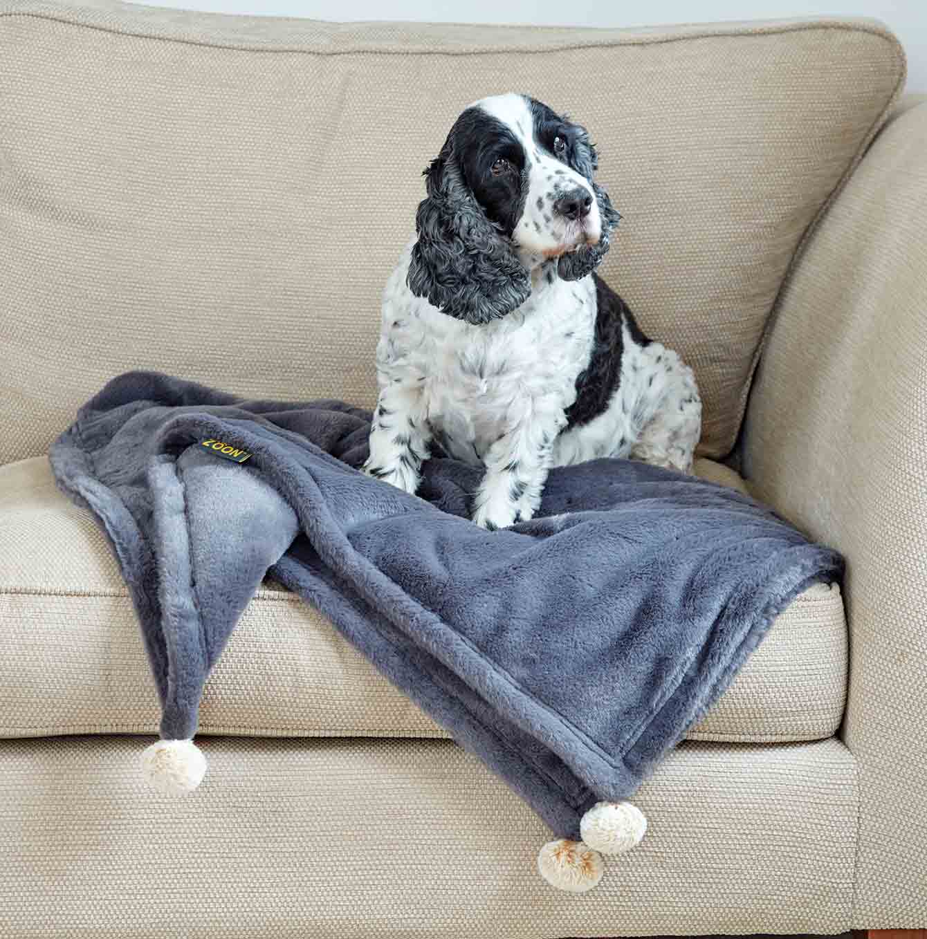 Zoon Head In The Clouds Velour Comforter