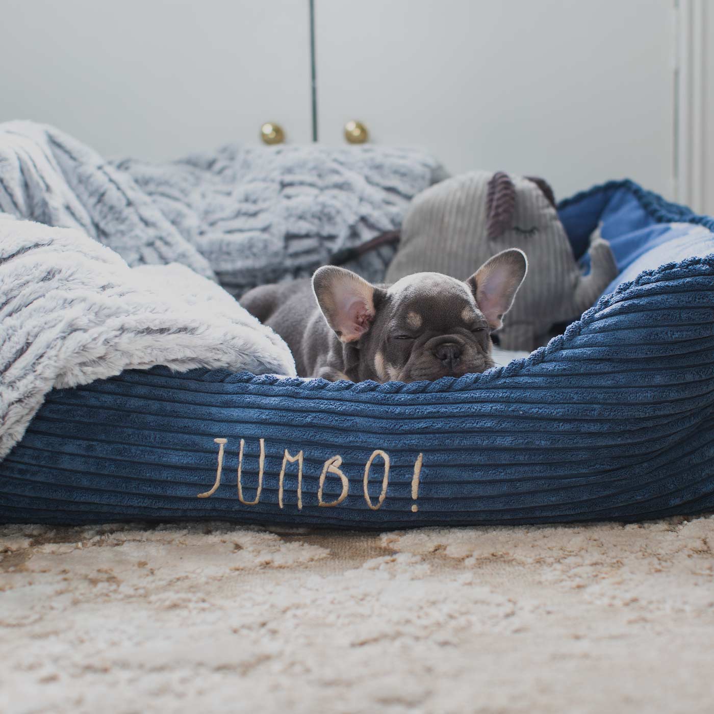Zoon Jumbo! Elephant Set