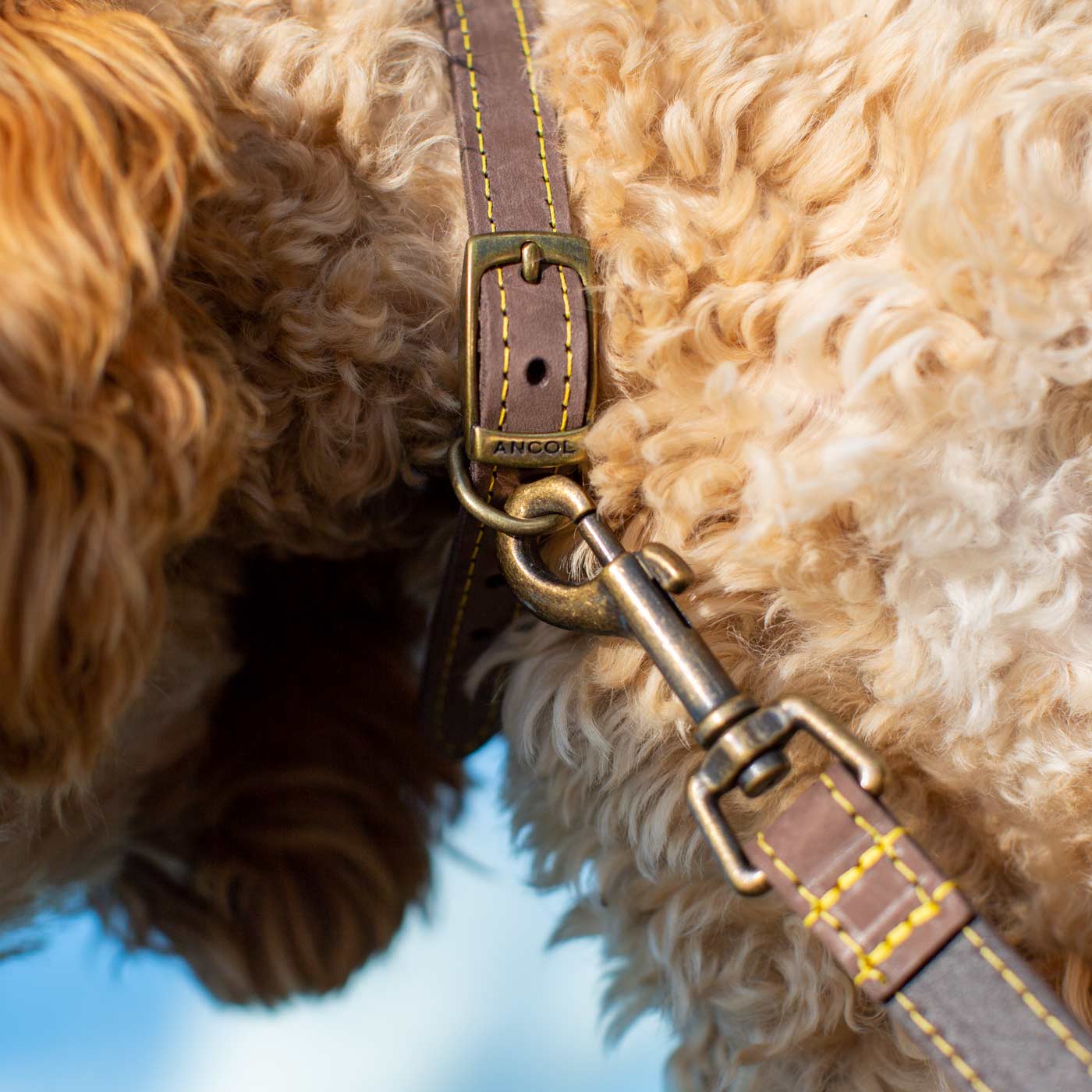 Ancol Timberwolf Leather Collar