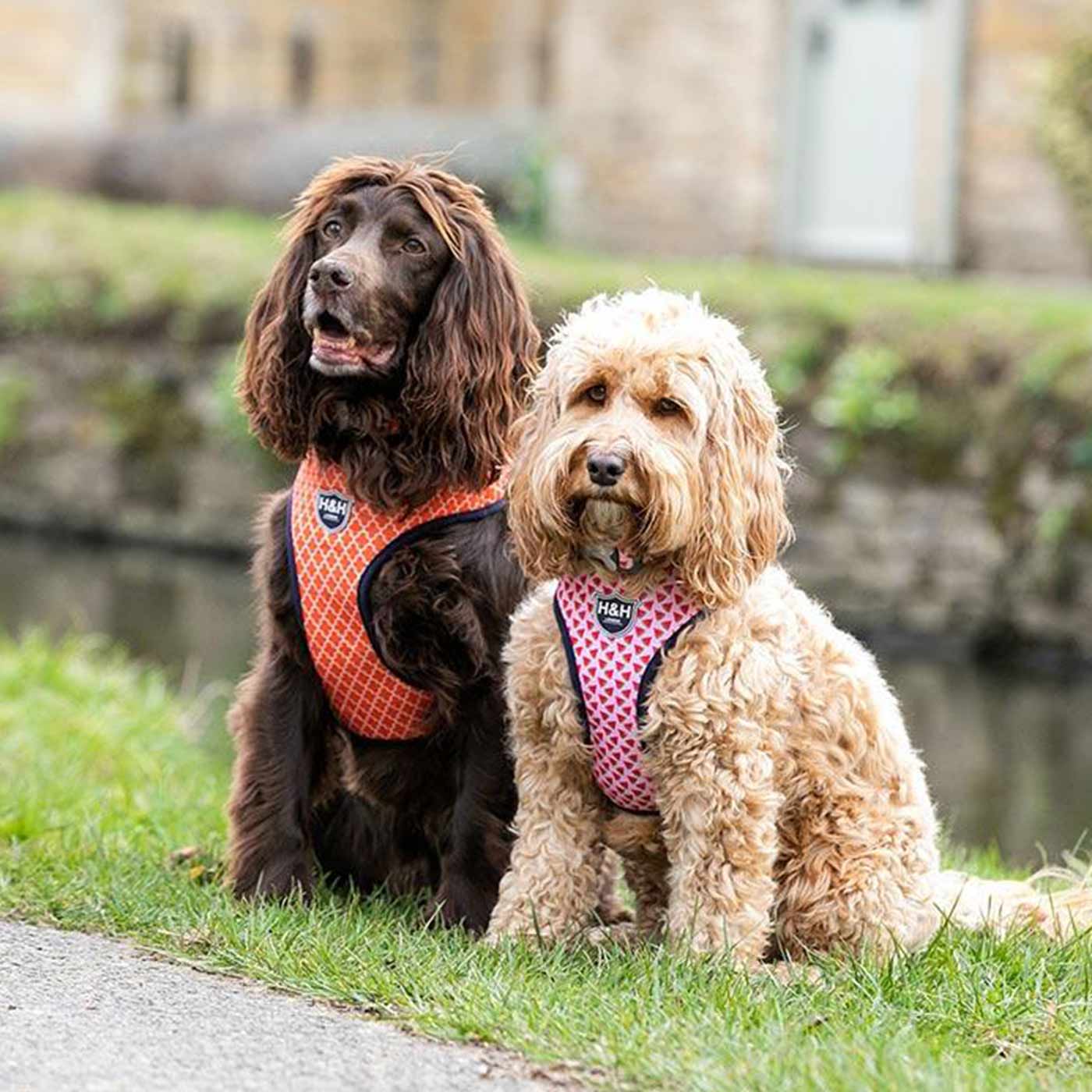 Hugo & Hudson Geometric Dog Harness
