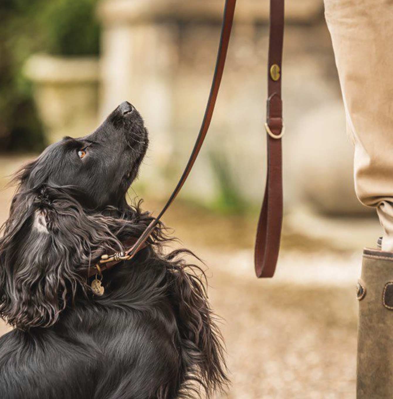 Le Chameau Marron Dog Lead
