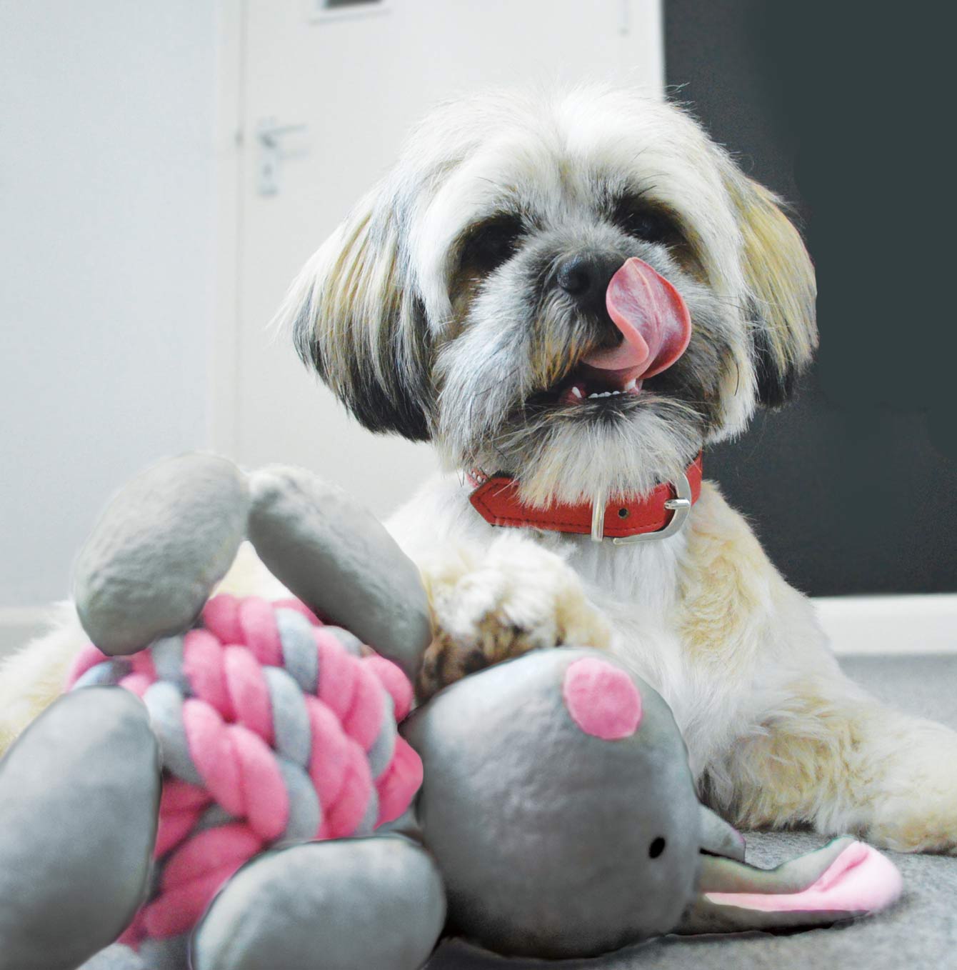 Little Rascals Knottie Bunny